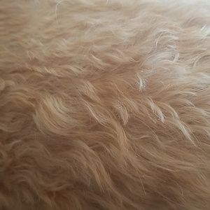 Meet your Posher, Is